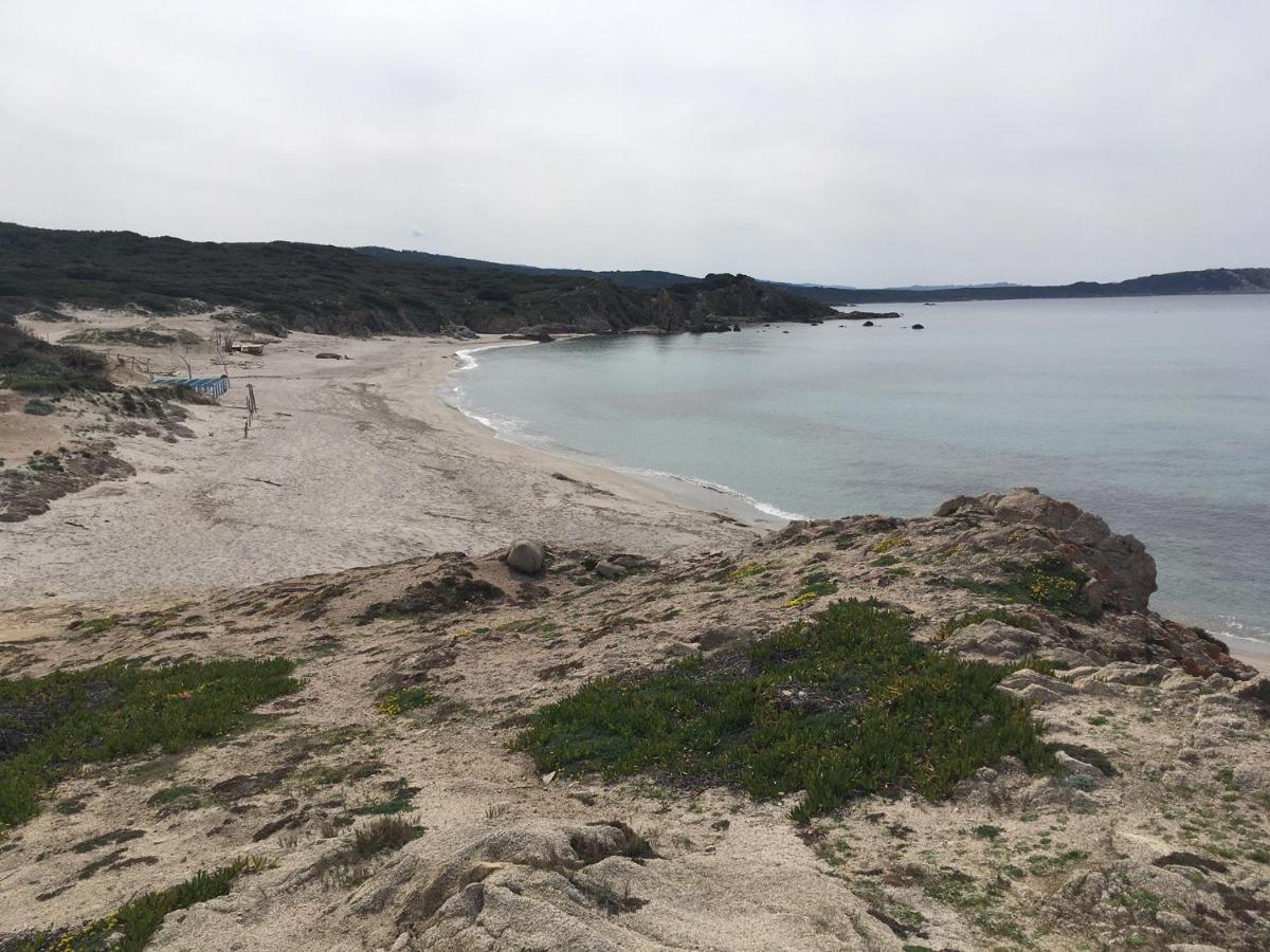 Monolocale A Rena Majore Di Gallura Bagian luar foto