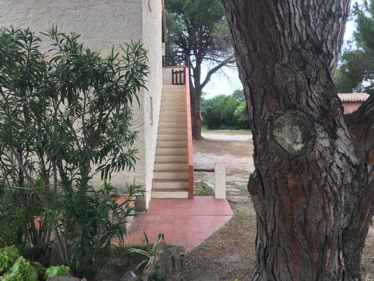 Monolocale A Rena Majore Di Gallura Bagian luar foto